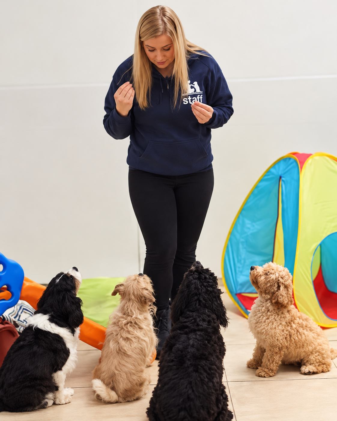 Nanci Creedon, founder of Creedons Dog Care and Clinical Animal Behaviourist