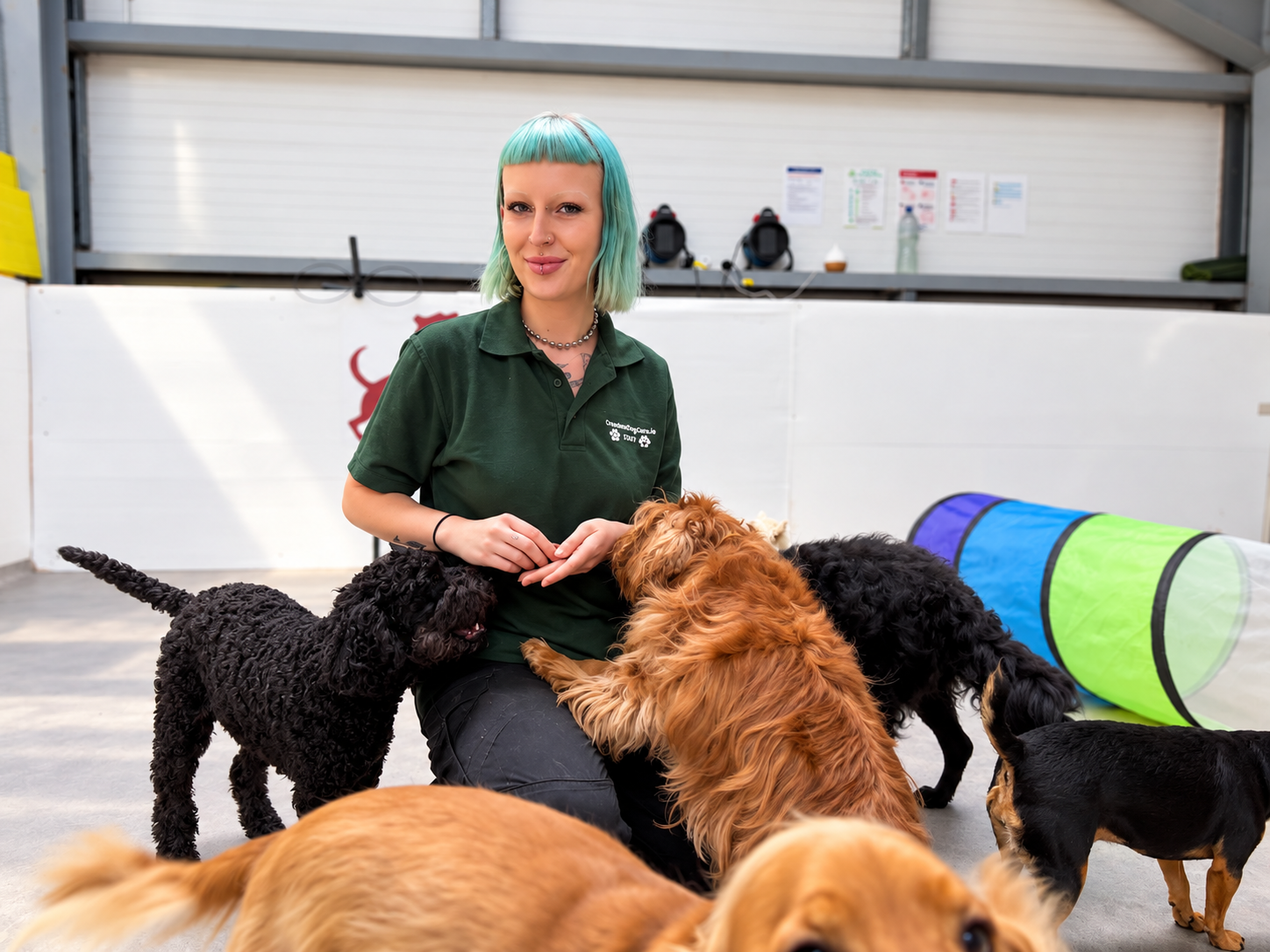 Lia Hickey with a dog at Creedons Dog Care