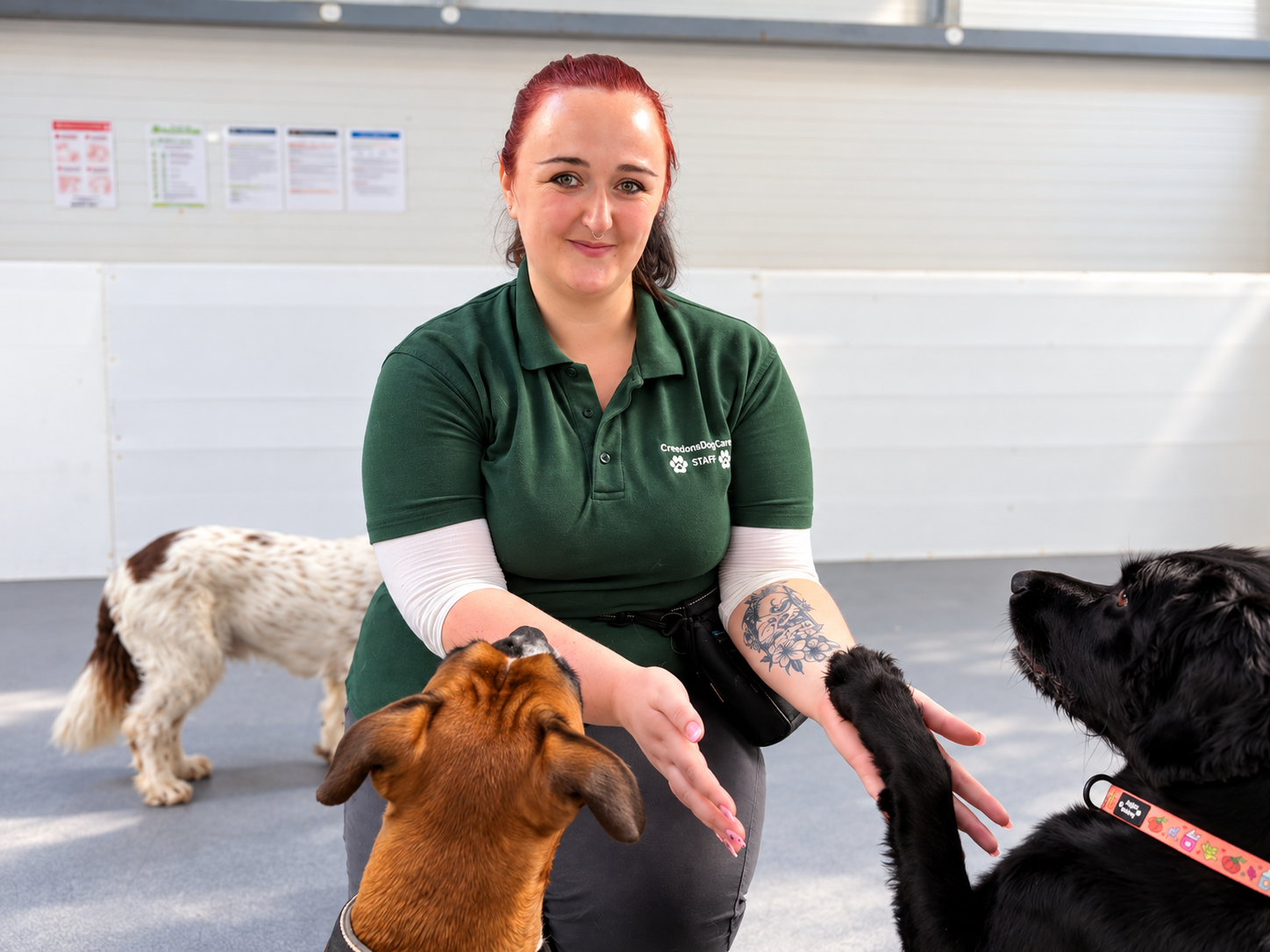Jodie with a dog at Creedons Dog Care