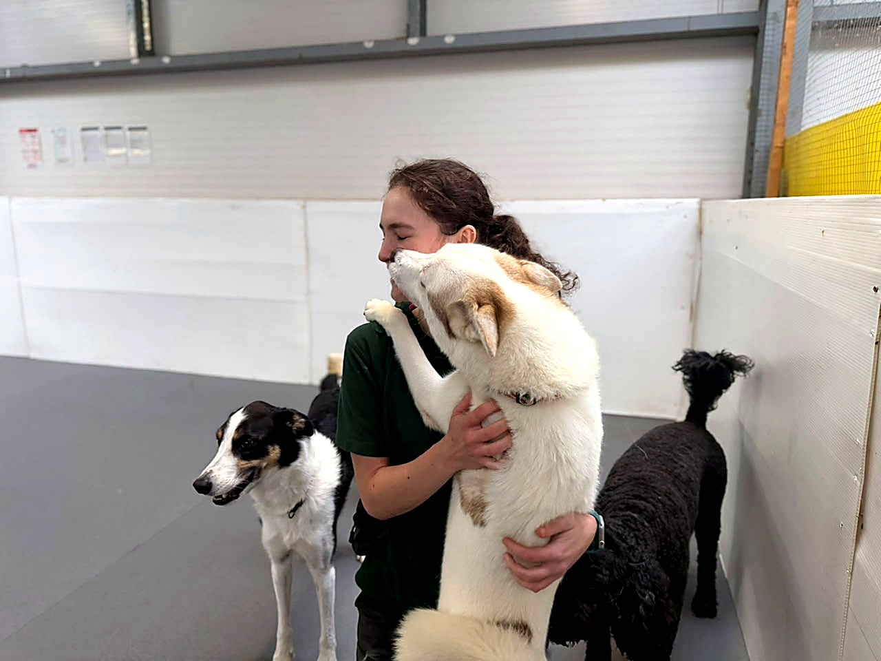 Creedons daycare employee sharing a happy moment with a friendly husky
